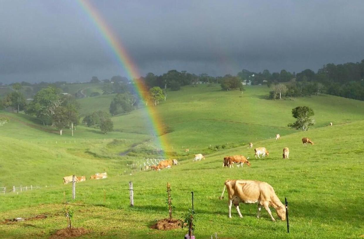 Maleny Monet Studio Bagian luar foto